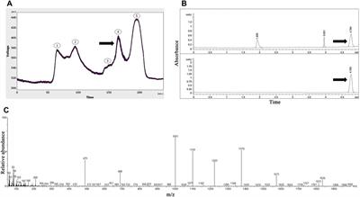 The synergic effects of presynaptic calcium channel antagonists purified from spiders on memory elimination of glutamate-induced excitotoxicity in the rat hippocampus trisynaptic circuit